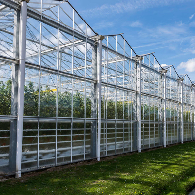 야채를 위한 수경법 성장성 시스템 농업 솔라 유리 온실