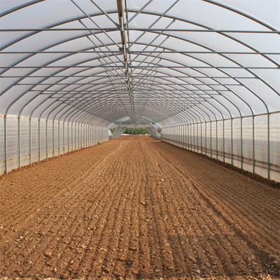 채소 재배를 위한 반대 이슬 6 폭 터널 플라스틱 온실