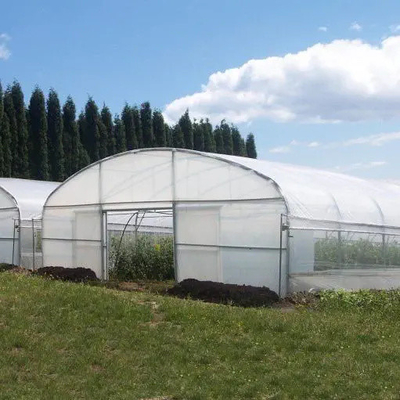 야채여서 성장하기 위한 농업 플라스틱 터널 온실 테 온실