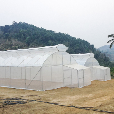 뜨거운 영역을 위한 농업 단동 한 개의 터널 우산형 지붕 분출공 온실