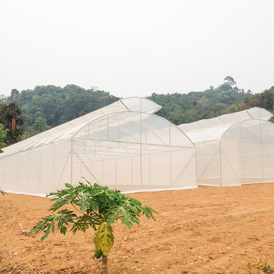 묘목 야채를 위한 농업 폴리에틸렌 필름 터널 온실