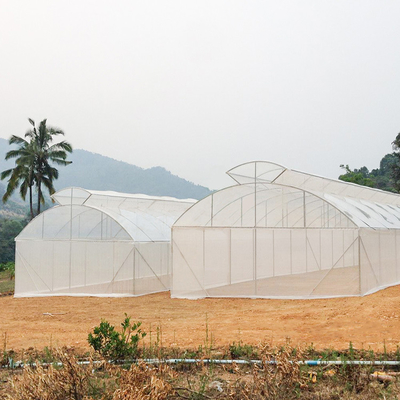 뜨거운 영역을 위한 농업 단동 한 개의 터널 우산형 지붕 분출공 온실