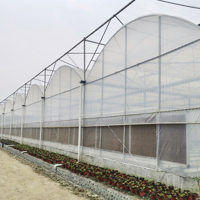 큰 크기 다중 스팬 주요한 플라스틱 박막 온실 고온 침지 아연도강 플라스틱 농업 온실