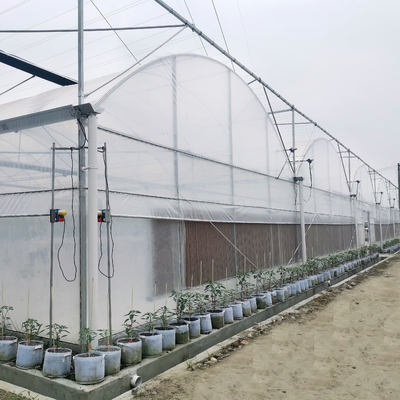 0.2 밀리미터는 야채 과일 꽃을 위한 표준 다중 전폭 온실을 촬영합니다