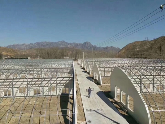 태양 에너지 냉각 시스템으로 맞춤형 온도 조절 폴리 터널 온실
