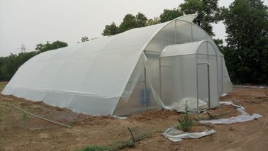 고온 침지 아연도강 플라스틱 박막 온실은 맞춤화된 텐트 사이즈를 성장시킵니다