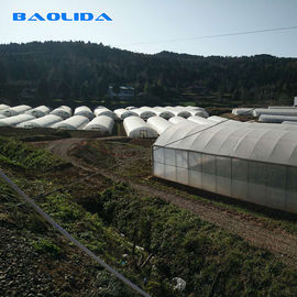다양한 야채를 위한 농업 터널 폴리에틸렌 필름 온실 / 투명 플라스틱 온실