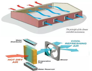 Diy 온실 냉각 시스템 / 온실 냉각 패드 시스템 ISO9001
