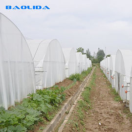 단동 플라스틱 박막 터널 온실 부식 방지 채소 재배
