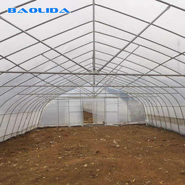 터널 농업 8m 온실 플라스틱 박막 폴리에틸렌 필름 온실