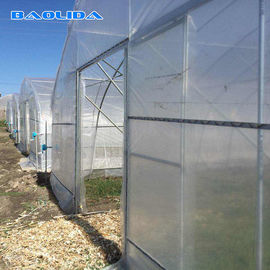 농업 태양 마스터 플라스틱 박막 온실을 성장시키는 단동 터널