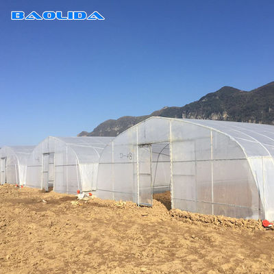 화초재배 또는 화훼재배를 위한 6m 농업 온실 폴리에틸렌 필름 온실