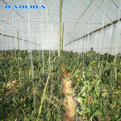 토마토 이식을 위한 농업 상업적 공업용 플라스틱 다중 전폭 온실