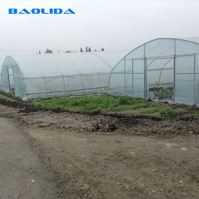 성장하는 야채를 위한 농업 8m 폭 폴리에틸렌필름 단일 폭 터널 플라스틱 온실