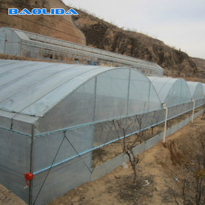 농업인 뜨거운 아연 도금 강관 플라스틱 터널 온실