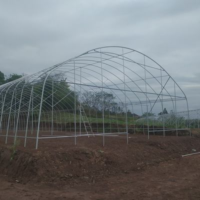 농작물을 위한 농업 상업적 산업적 12m 폭 반대 UV PE 플라스틱 박막 온실