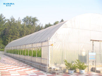 농업 야채 터널 단동 온실 플라스틱 박막 150 마이크론