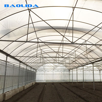 야채를 위한 아연 도금 강관 농업 플라스틱 박막 다중 전폭 터널 온실