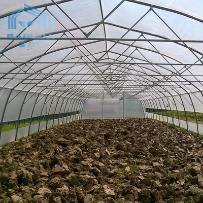 야채여서 성장하기 위한 농업 플라스틱 터널 온실 테 온실