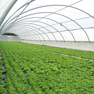 식물 재배를 위한 상업적인 온실 플라스틱 시트 온실 필름