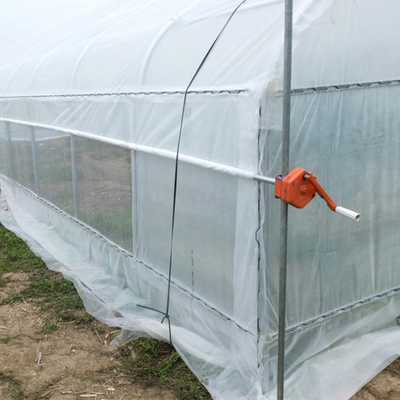 단동 온실을 성장시키는 꽃 터널 플라스틱 온실 야채