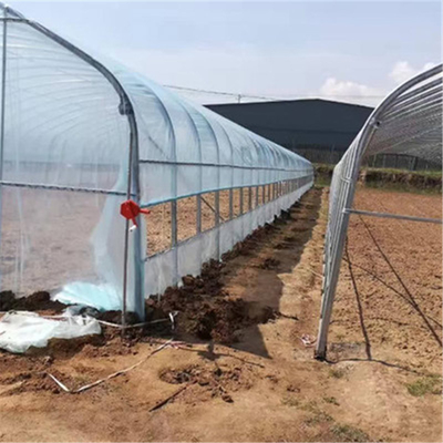농업을 위한 냉각 시스템과 PE 플라스틱 박막 온실