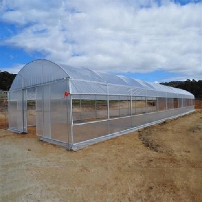 농업을 위한 냉각 시스템과 PE 플라스틱 박막 온실