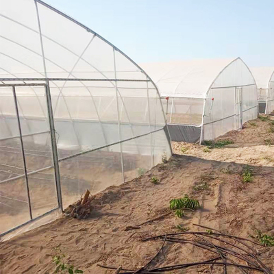 농업 싱글스펀 터널 플라스틱 박막 열대 온실