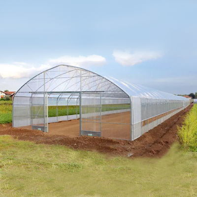 토마토 재배를 위한 영화 온실을 시트로 덮는 30m 길이 단동 플라스틱