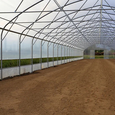 농업을 위한 높은 테 터널 폴리에틸렌 필름 온실