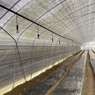 버섯 재배를 위한 곁창 환기 플라스틱 박막 낮은 터널 온실 단동