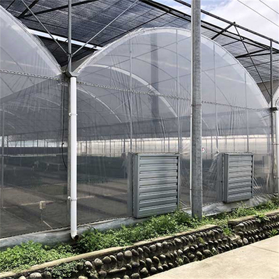 야채를 위한 아연 도금 강관 농업 플라스틱 박막 다중 전폭 터널 온실