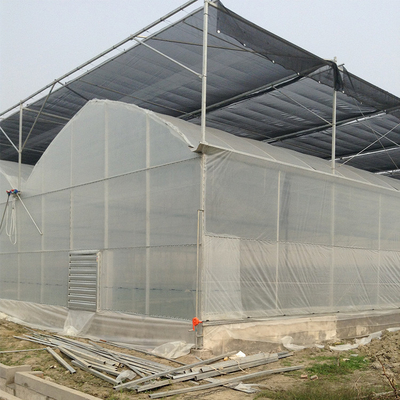 뜨거운 직류 전기로 자극된 구조 농업 비닐하우스 온실 내풍 연동온실