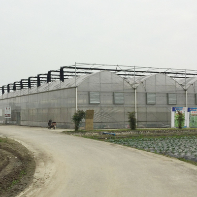 발전소 보육 학교 폴리에틸렌 필름 온실 장비 / 농장 기술력 온실