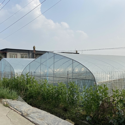 성장하는 야채를 위한 농업 8m 폭 폴리에틸렌필름 단일 폭 터널 플라스틱 온실