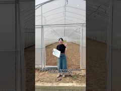 비용 효율적인 솔루션으로 작물 수확량을 높이고 싶으세요?