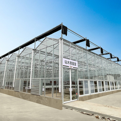 품질  Multi Span Hyroponic Galvanized Float Venlo Greenhouse Glass Agricultural Kits 공장