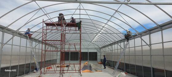 품질  Automated Light Deprivation Greenhouse with 8mm Twin-Wall PC Board and Hot-Dip Galvanized Steel Frame Controlled by Smart PLC System 공장