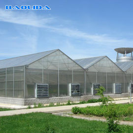 품질  Commercial Polycarbonate Sheet Greenhouse / PC Sheet Greenhouse Customized Material 공장
