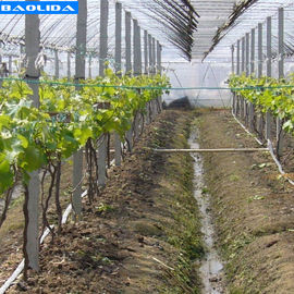 품질  Small Greenhouse Irrigation System / Greenhouse Auto Watering System 공장