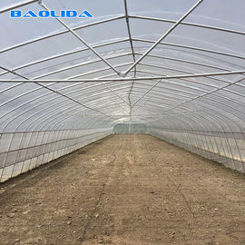 품질  Tomato Growing Naturally Ventilated Greenhouse Plastic Film Greenhouse 공장