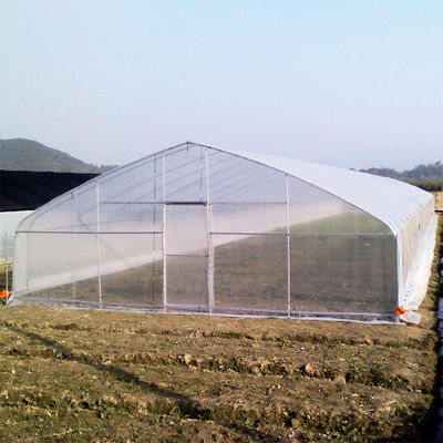 품질  High Strength Agricultural Poly Tunnel Tomato Greenhouse 5*15m 17*50ft 공장