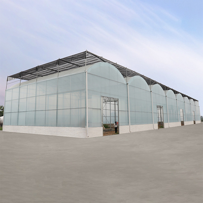 품질  Agriculture Hydroponic System High Tunnel Greenhouse Uv Film Multi Span 공장
