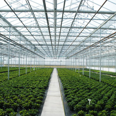 토마토 딸기를 위한 자동화된 공장 수경법 글래스 월 온실