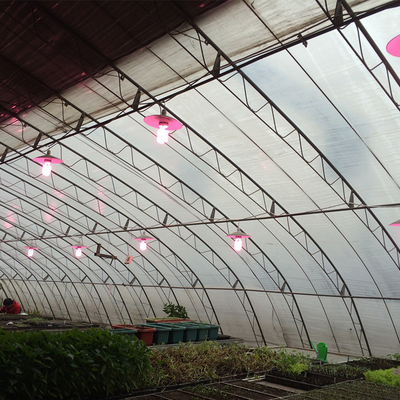 전통적인 농업 저방사능 구역 자연형 솔라 온실