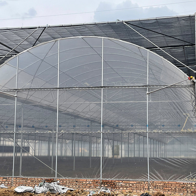 토마토 이식을 위해 맞춤화된 다중 전폭 농업 플라스틱 박막 온실