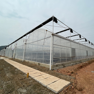 토마토 이식을 위해 맞춤화된 다중 전폭 농업 플라스틱 박막 온실