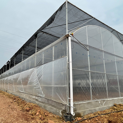 수경법 시스템과 아연 도금 강관 주요한 지붕 유형 플라스틱 박막 온실