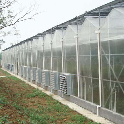 성장하는 야채를 위한 멀티스팬 폴리카보네이트 터널 온실