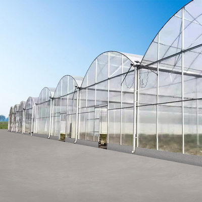 성장하는 야채를 위한 멀티스팬 폴리카보네이트 터널 온실